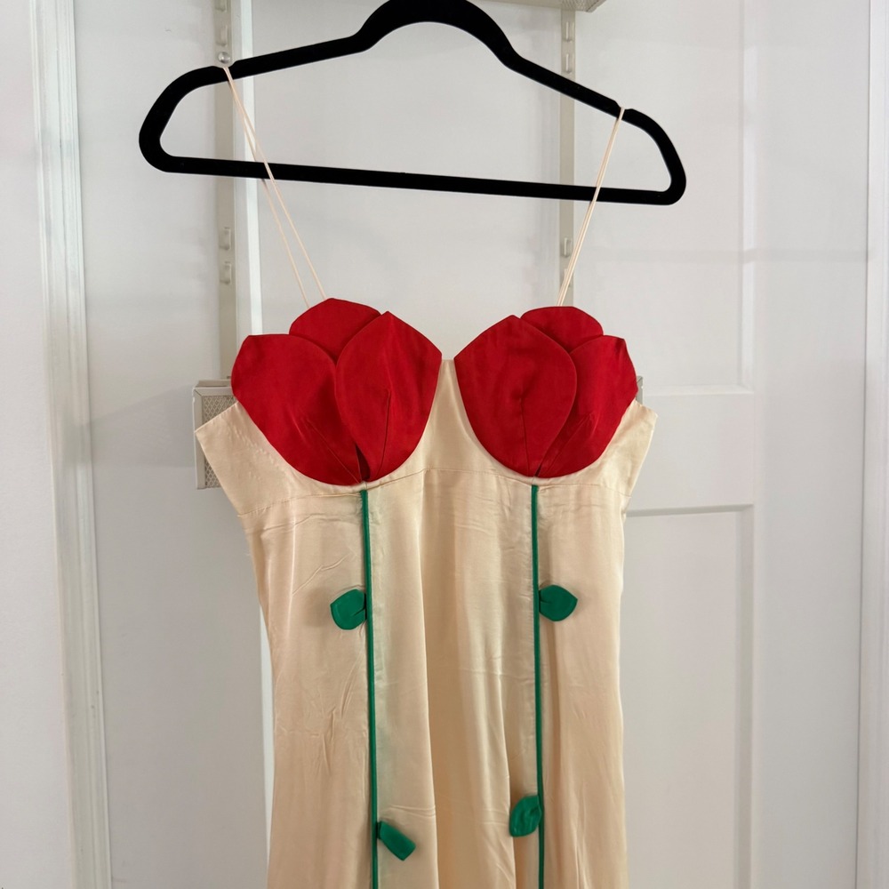 Farm Rio Rose Detailed Sleeveless Maxi Dress Rose S Drama Romantic Statement - Picture 2 of 9